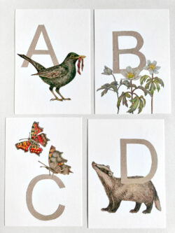 ABC Kartenset